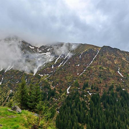 Cabana Dara Cumpăna Exteriér fotografie