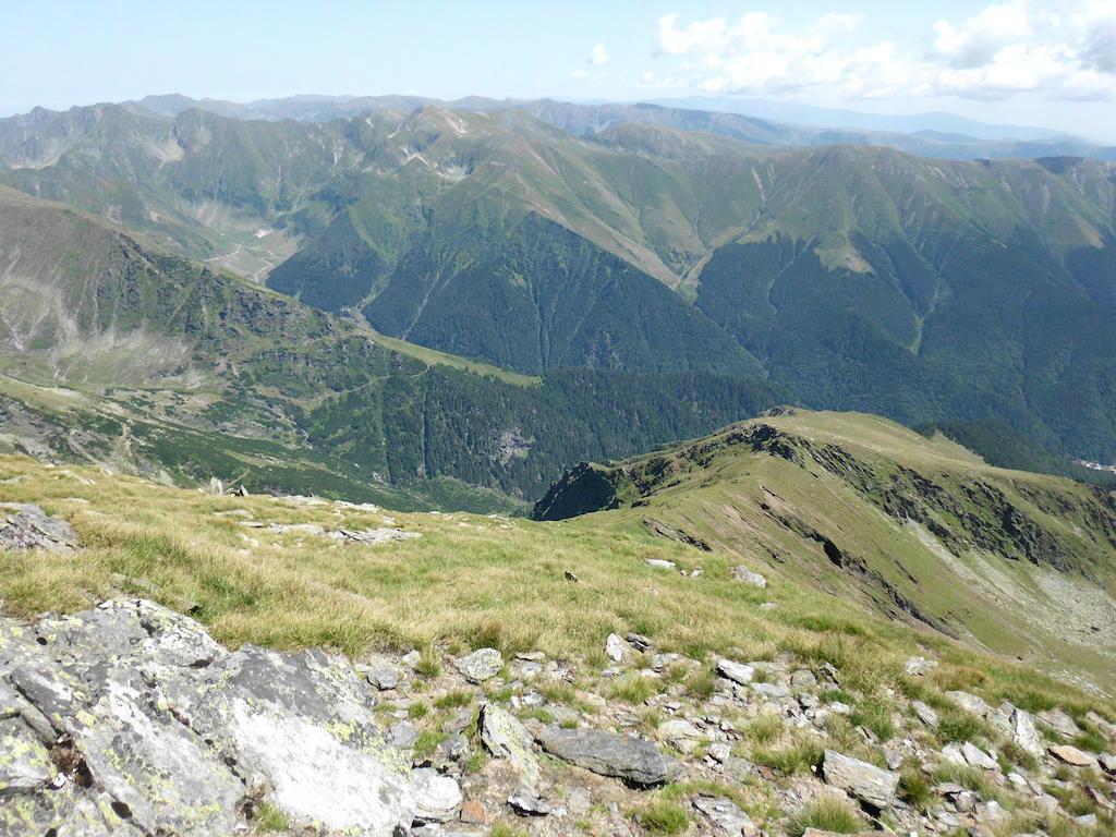 Cabana Dara Cumpăna Exteriér fotografie